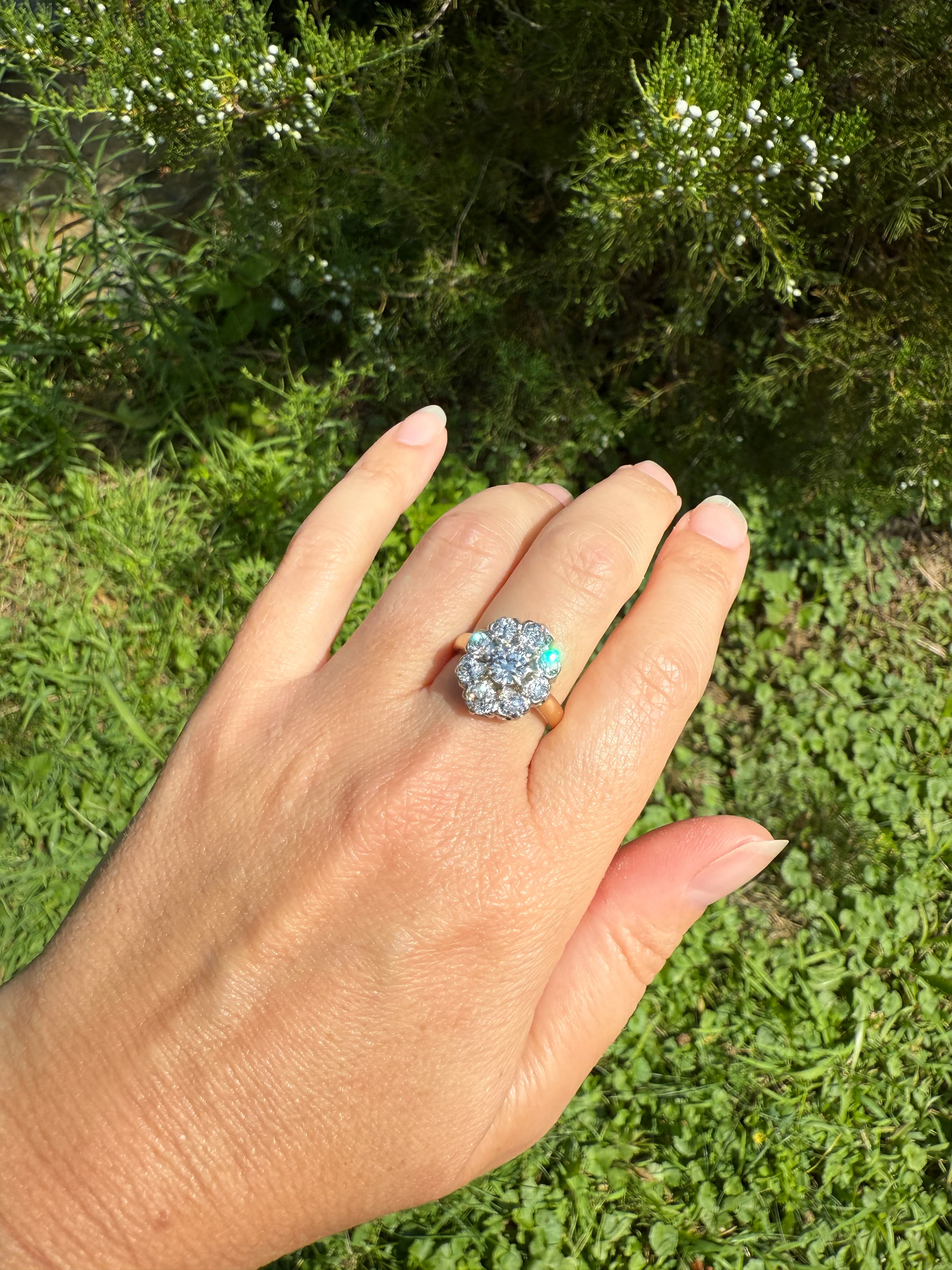 ANTIQUE 2.6 Carat 9 Old Mine Cut DIAMOND Daisy Cluster Ring 18k Gold & PLATINUM Belle Epoque Romantic Gift OmC Victorian Oval - Image 14
