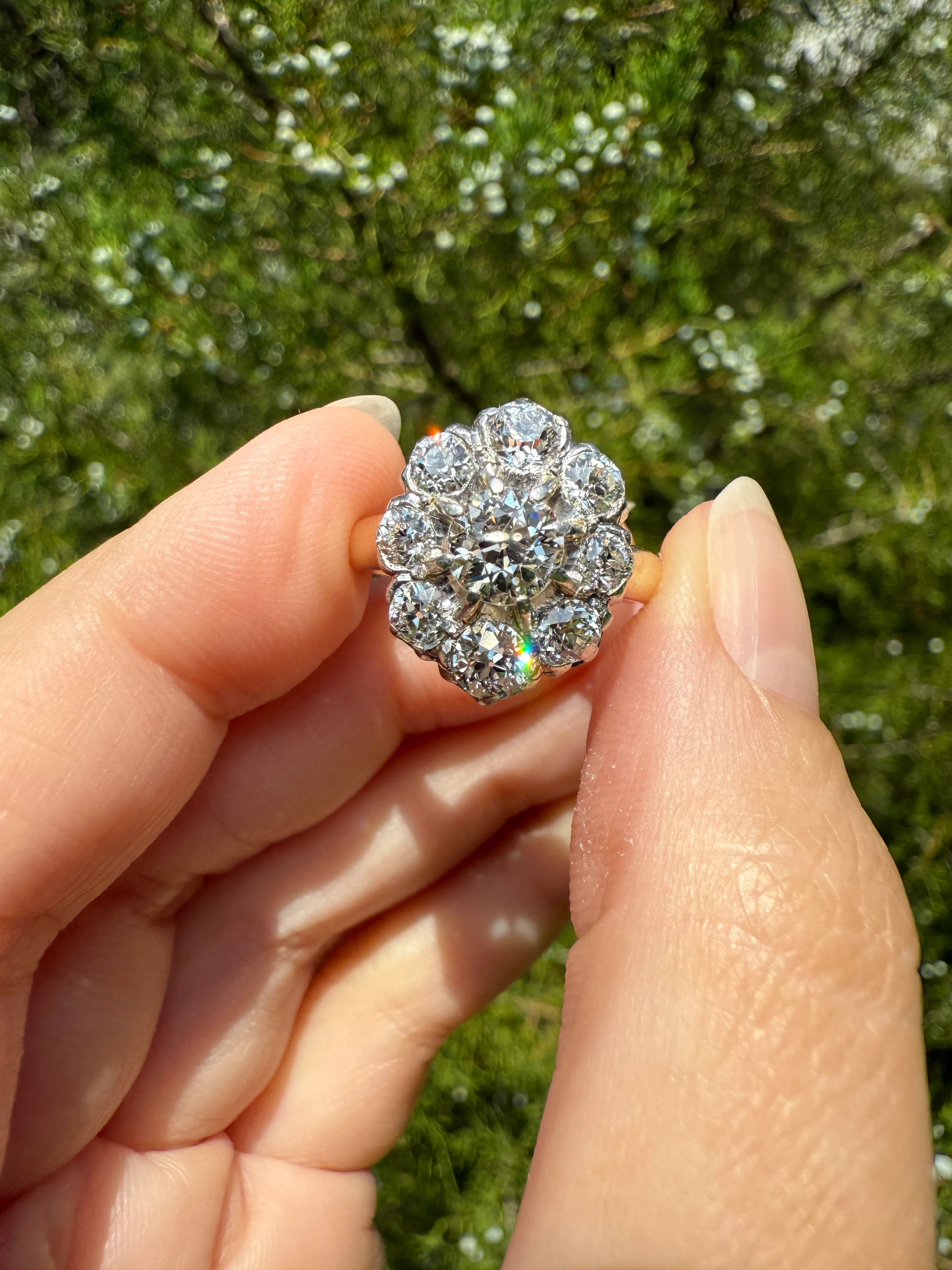 ANTIQUE 2.6 Carat 9 Old Mine Cut DIAMOND Daisy Cluster Ring 18k Gold & PLATINUM Belle Epoque Romantic Gift OmC Victorian Oval - Image 16