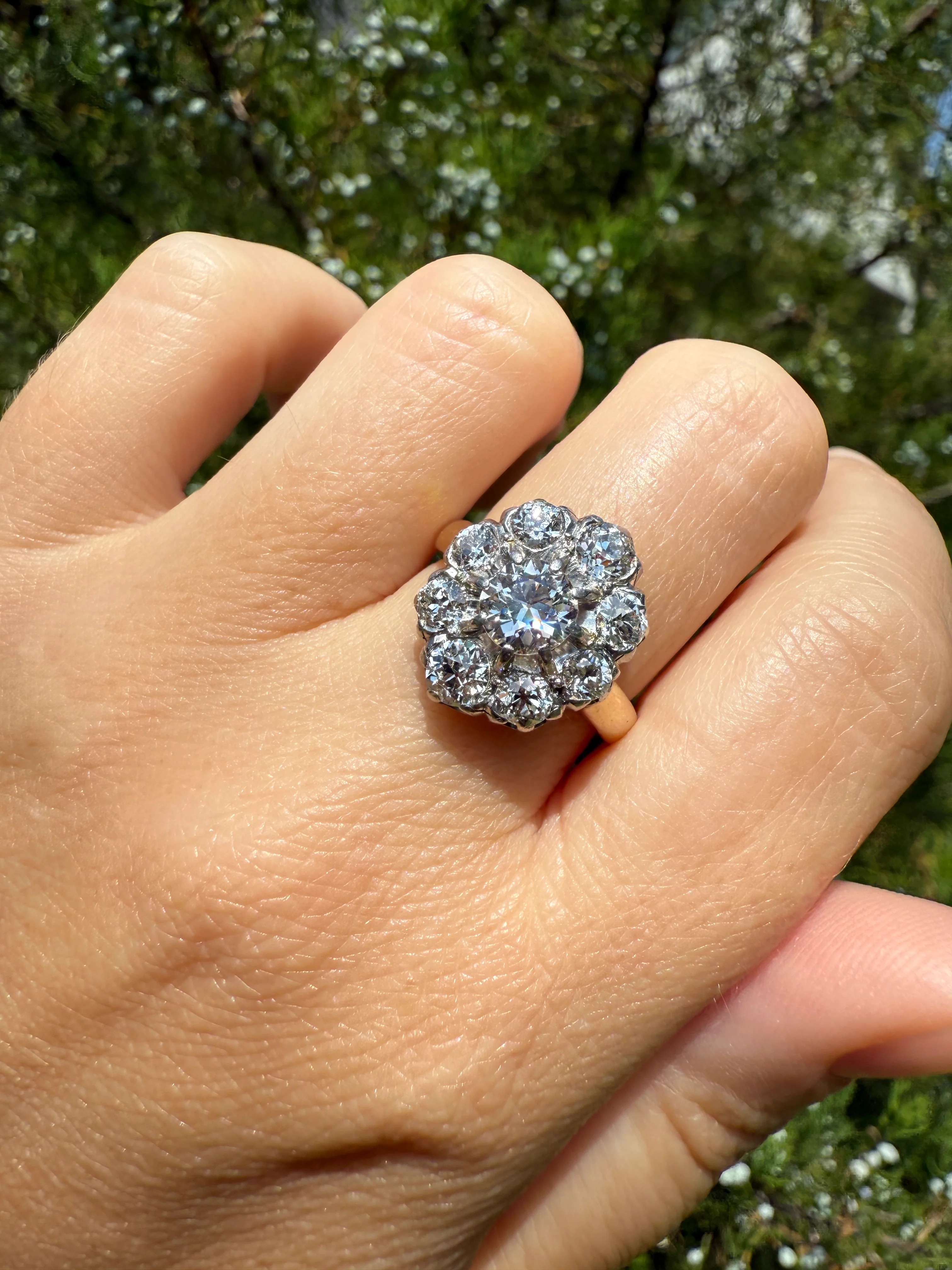 ANTIQUE 2.6 Carat 9 Old Mine Cut DIAMOND Daisy Cluster Ring 18k Gold & PLATINUM Belle Epoque Romantic Gift OmC Victorian Oval - Image 17
