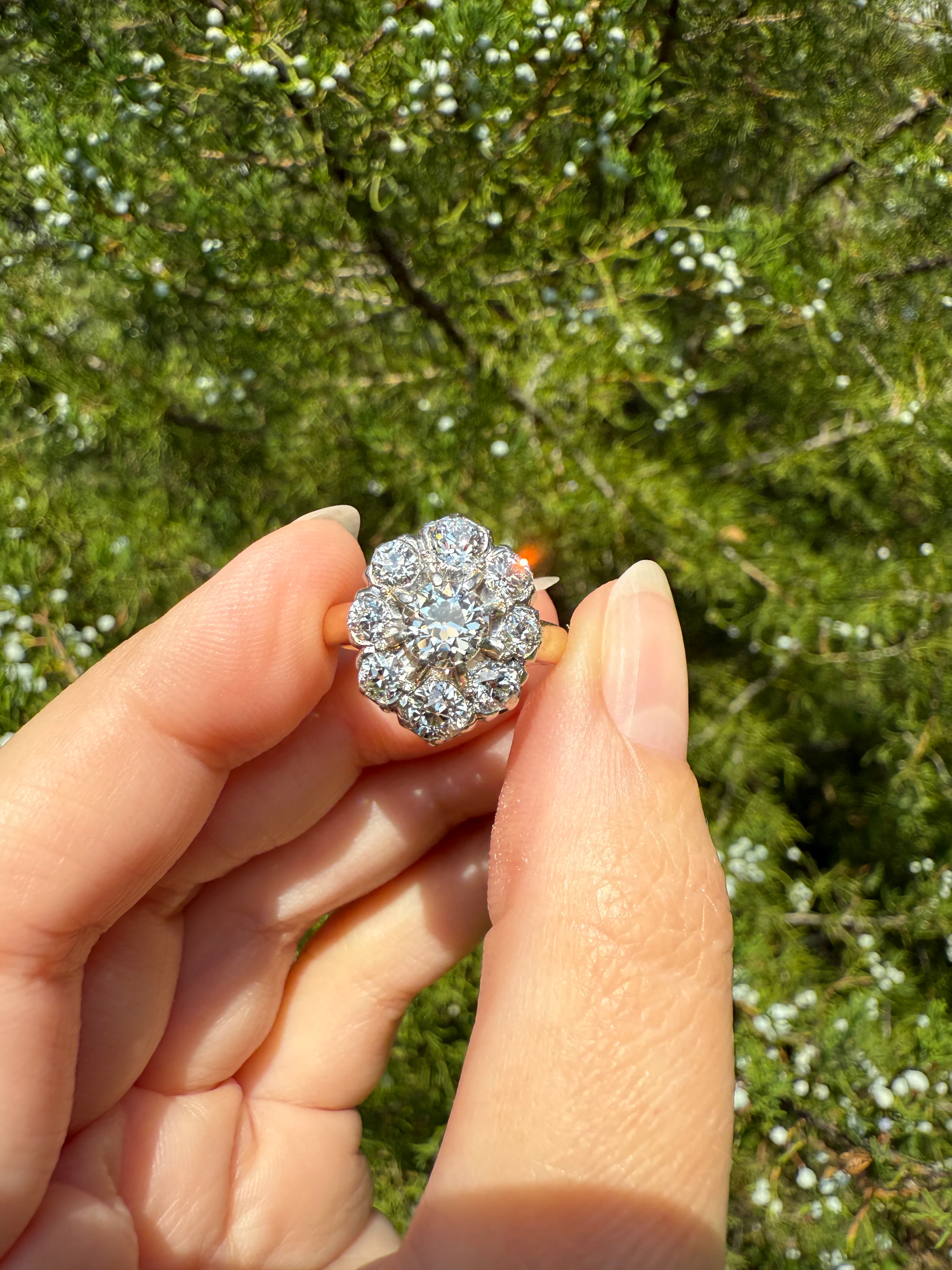 ANTIQUE 2.6 Carat 9 Old Mine Cut DIAMOND Daisy Cluster Ring 18k Gold & PLATINUM Belle Epoque Romantic Gift OmC Victorian Oval - Image 18
