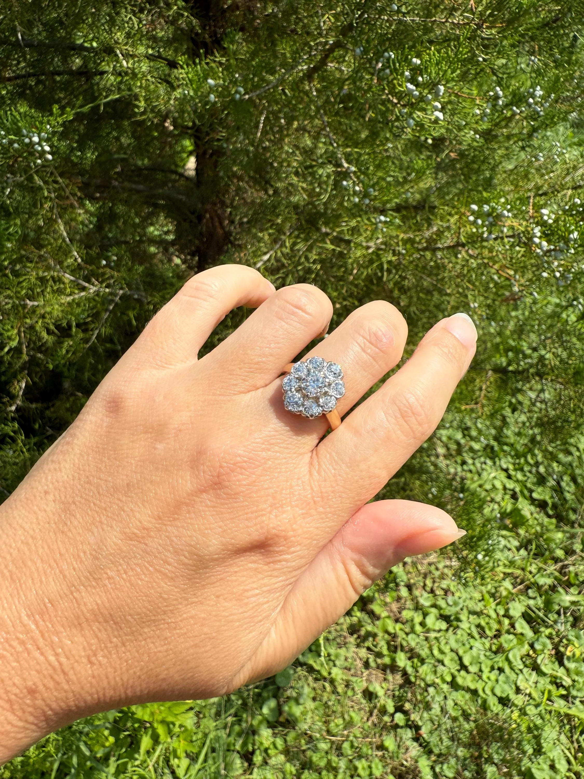 ANTIQUE 2.6 Carat 9 Old Mine Cut DIAMOND Daisy Cluster Ring 18k Gold & PLATINUM Belle Epoque Romantic Gift OmC Victorian Oval - Image 7