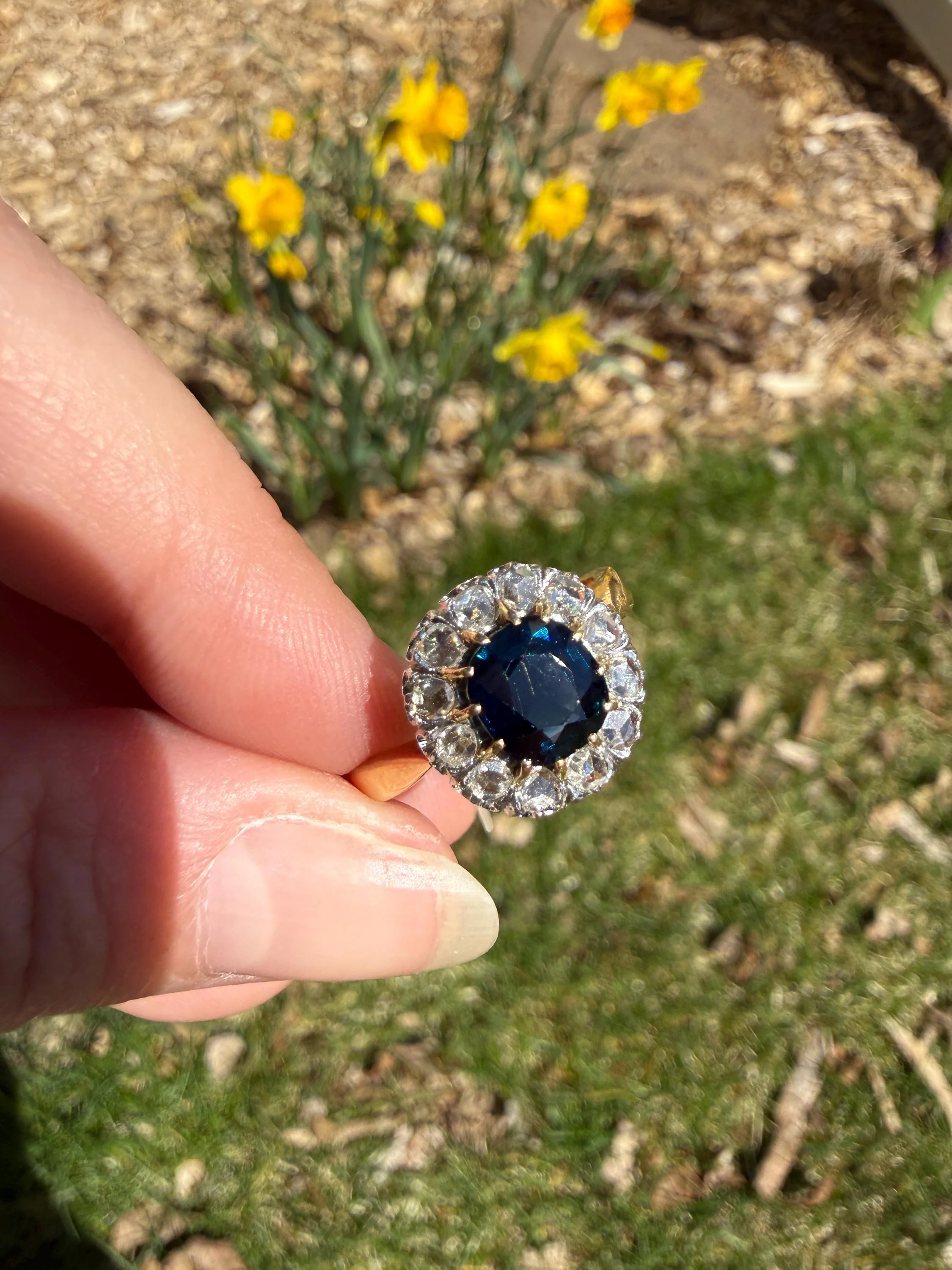 Antique Natural Sapphire Peacock Greenish Blue Halo Ring with Rose Cut Diamonds French Early 1900s Victorian Edwardian - Image 10
