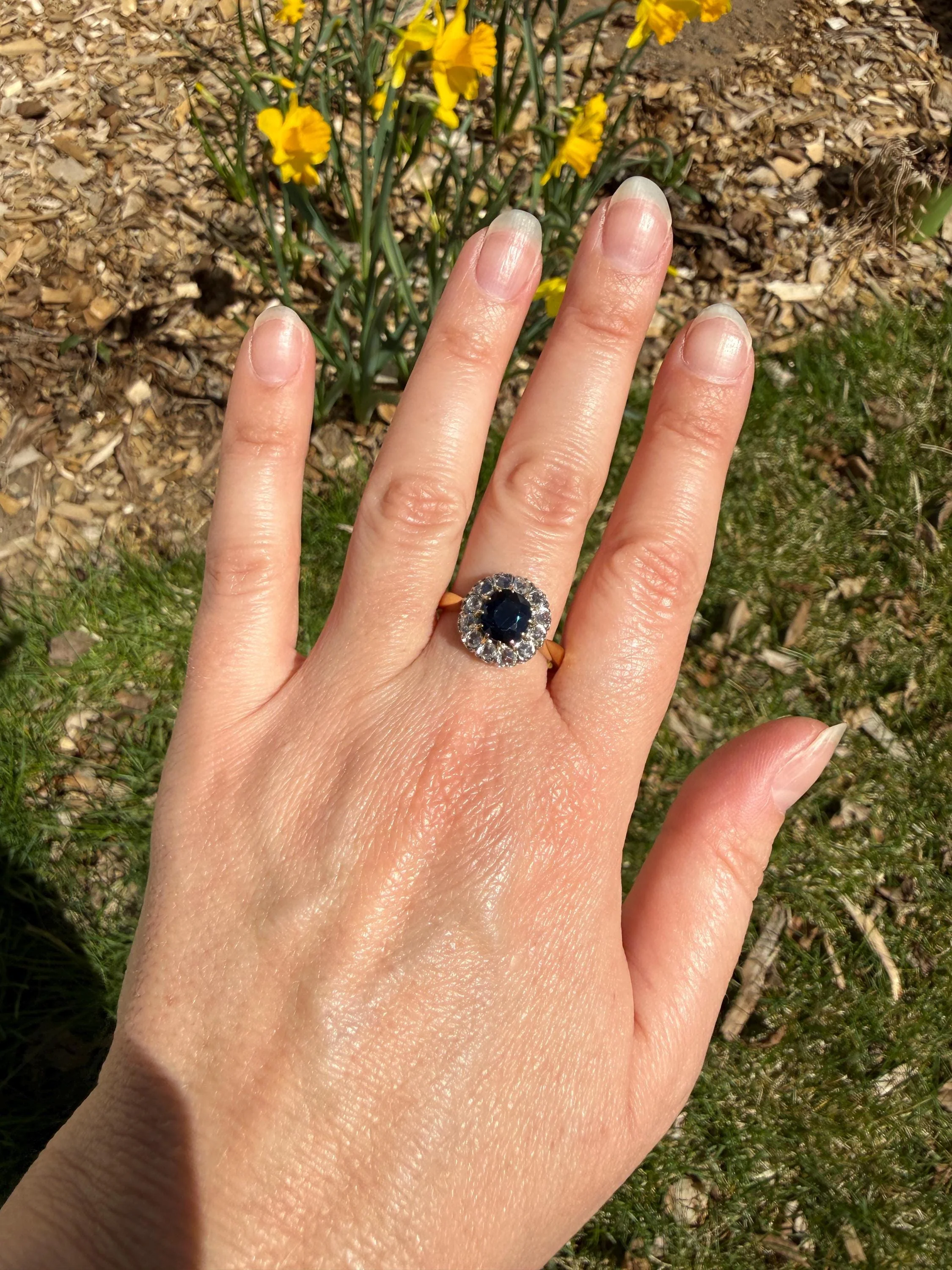 Antique Natural Sapphire Peacock Greenish Blue Halo Ring with Rose Cut Diamonds French Early 1900s Victorian Edwardian - Image 15