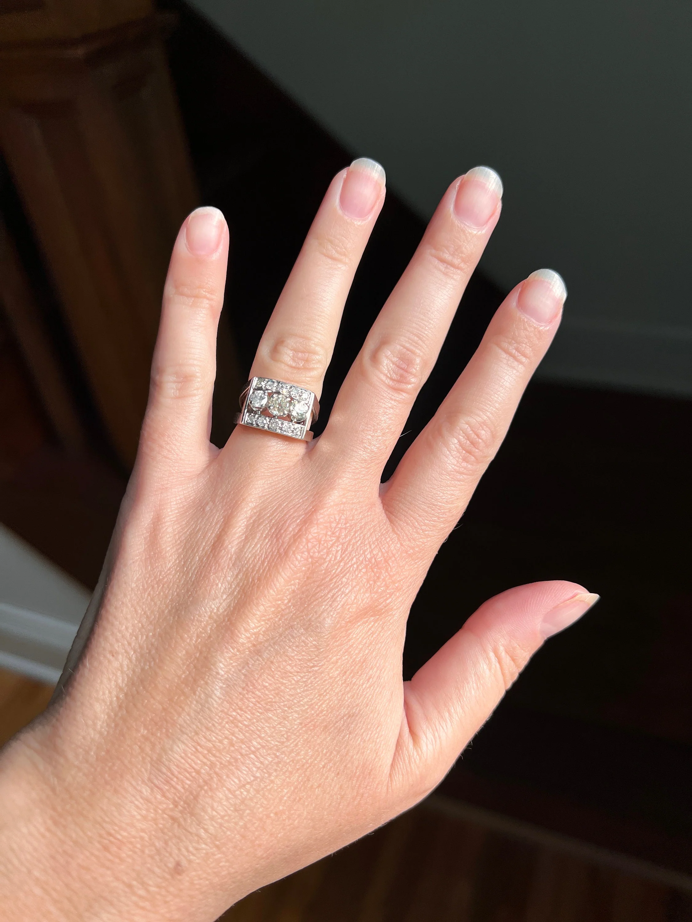 French Antique .85 Carat Old Mine Cut DIAMOND Linear Tank Ring 18k White Gold Romantic Gift Chunky Belle Epoque Geometric Rectangular .85Ctw - Image 3
