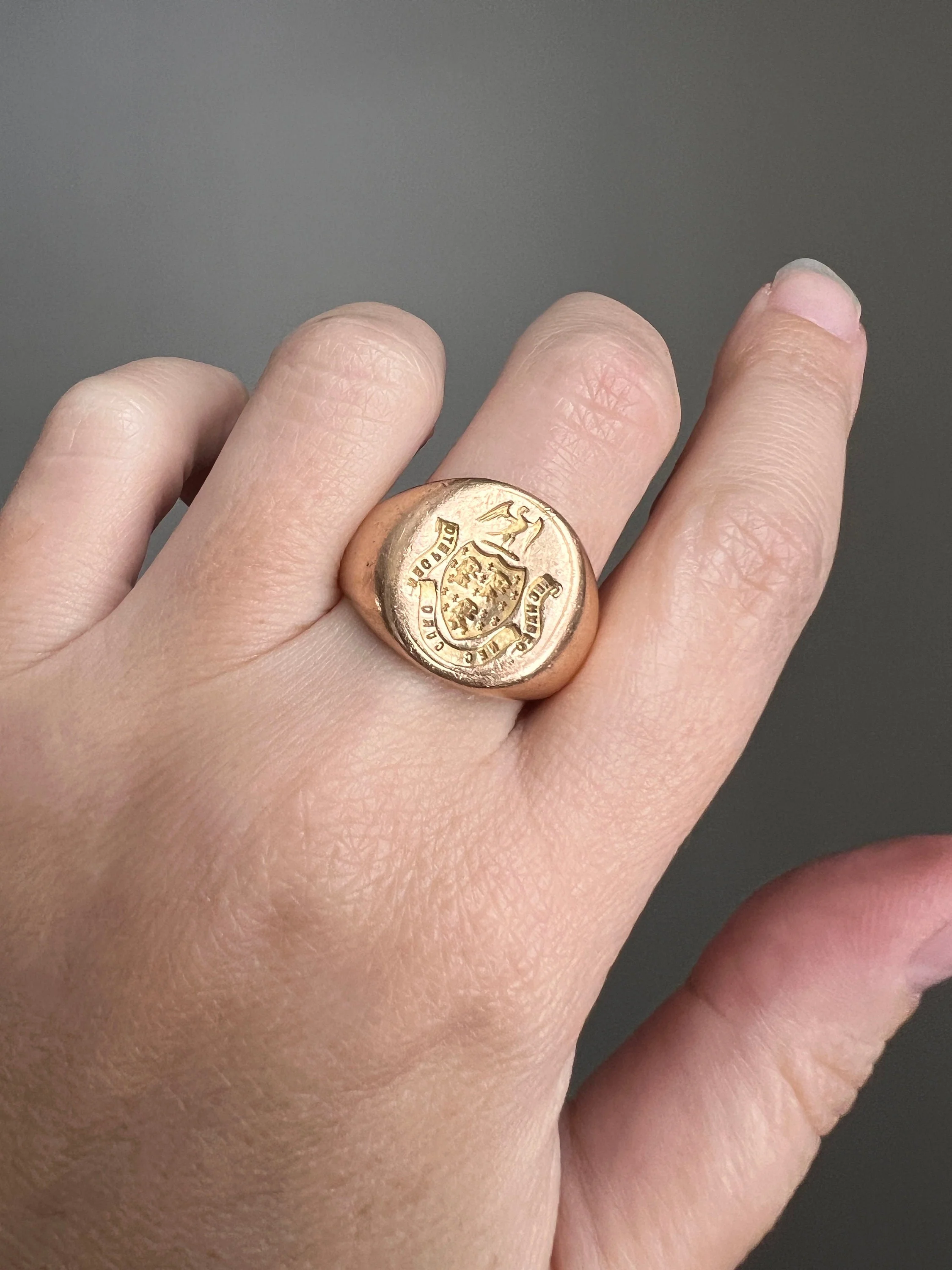 The " I DON'T CARE " Signet Ring French Antique HEAVY 19g 18k Gold Solid Shield Eagle Lion Fleur De Lis Chunky Unisex - Image 6
