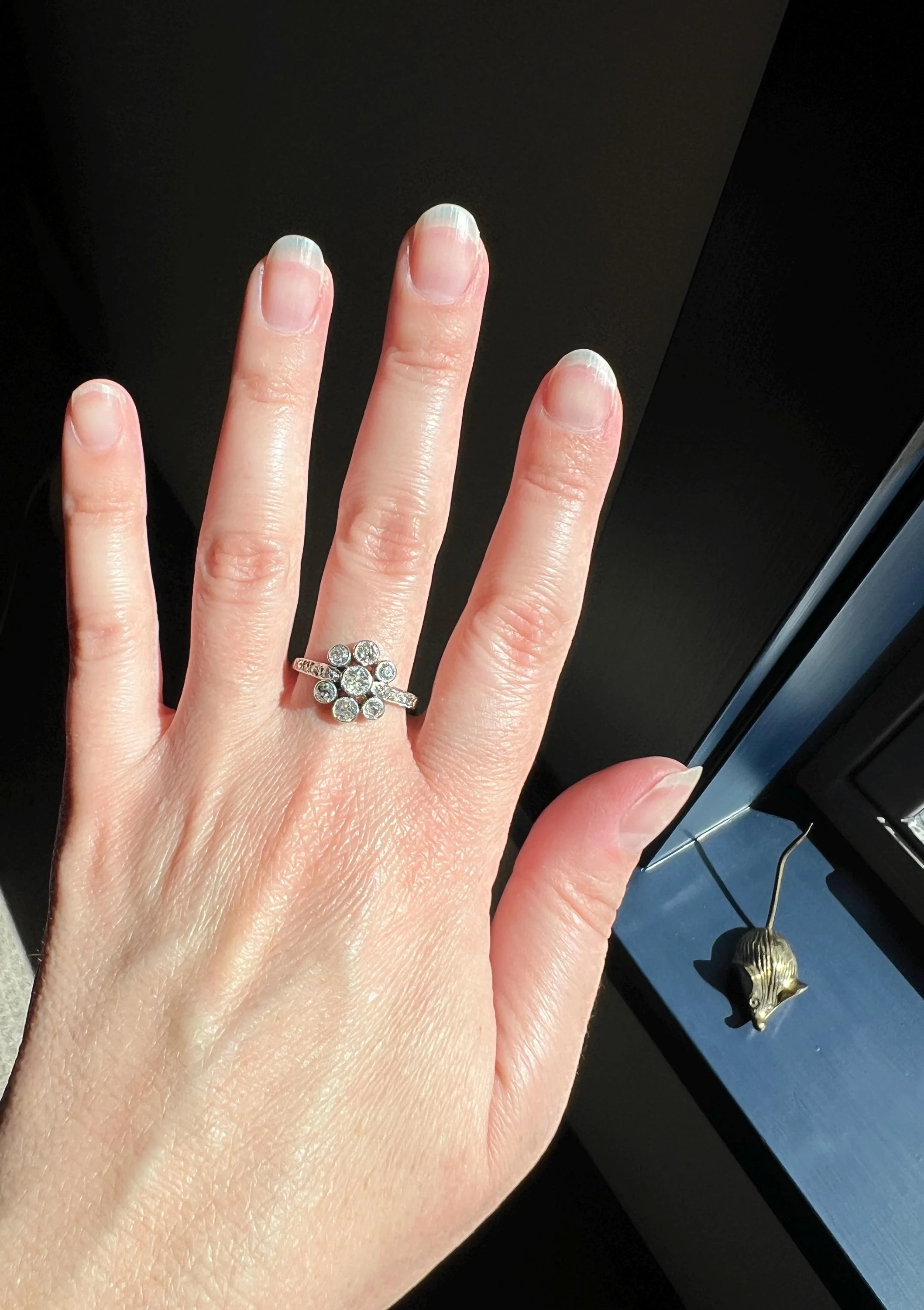 Unique 1 Carat Antique Rose & Old Mine Cut DIAMOND Seven Stone Cluster Ring 18k White Gold French Art Deco Bezel Set Halo - Image 6
