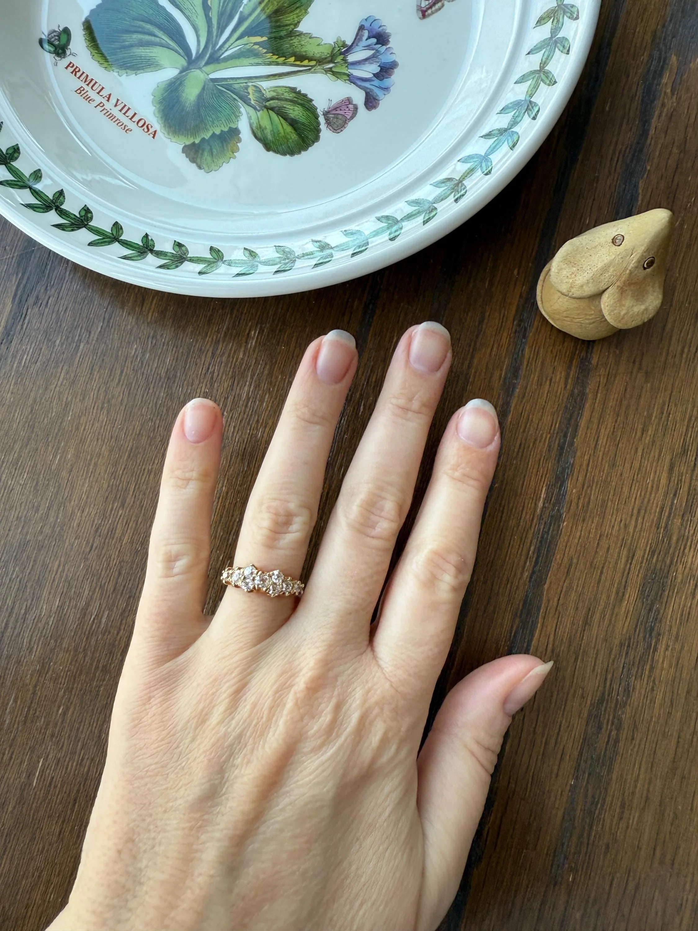Unique Antique .9 Carat Old Mine Cut Diamond Nine Stone Band Mini Cluster Ring 18k Gold Victorian - Image 11